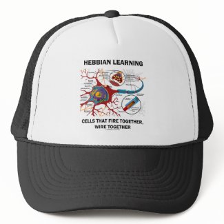 Hebbian Learning Cells Fire Together Wire Together hat