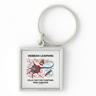 Hebbian Learning Cells Fire Together Wire Together keychain