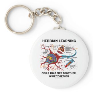 Hebbian Learning Cells Fire Together Wire Together keychain