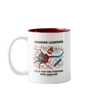 Hebbian Learning Cells Fire Together Wire Together mug