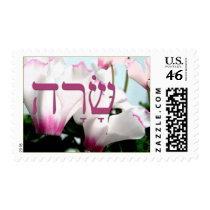 Hebrew Name Sarah stamps