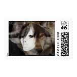 Hecate in the moonlight stamp