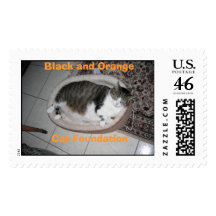 Hector the teacup cat stamps