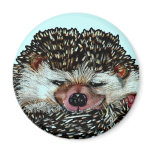 Hedge Hog Magnet