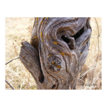 Hedge Post posters by PrairiePrints Hedge Post posters