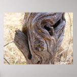 Hedge Post Posters