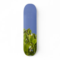 Hedge Tree skateboards by lifesphere Hedge Tree skateboards