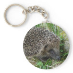 Hedgehog 1 keychain
