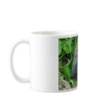 Hedgehog #1 coffee mugs