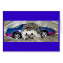Hedgehog and Race Car cards