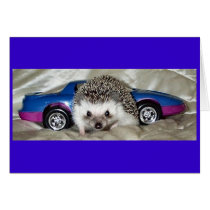 Hedgehog and Race Car cards