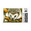 Hedgehog and yummy mushrooms postage by tanyabond Hedgehog and yummy mushrooms postage