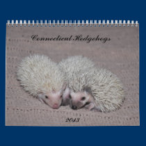 Hedgehog babies calendar 2013 calendars