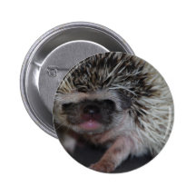 Hedgehog Baby Buttons