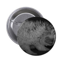 Hedgehog Baby in Black and White Pinback Button