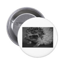 Hedgehog Baby in Black and White Pinback Buttons