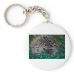 Hedgehog Baby in Easter Grass keychains