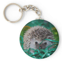 Hedgehog Baby in Easter Grass Key Chain