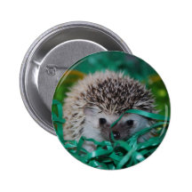 Hedgehog Baby in Easter Grass Pin
