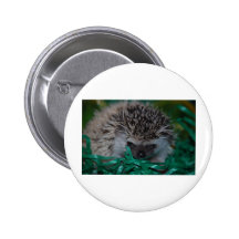 Hedgehog Baby in Easter Grass Pinback Button