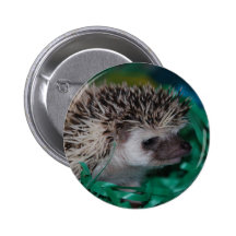 Hedgehog Baby in Easter Grass Pinback Buttons