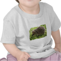 Hedgehog Baby T-Shirt