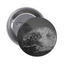 Hedgehog Baby with Easter Egg in Black and White Pin