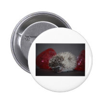 Hedgehog Baby with Easter Egg Pins