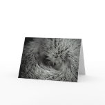 hedgehog ball closeup card