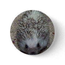 Hedgehog Pins