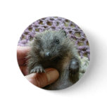 Hedgehog Button