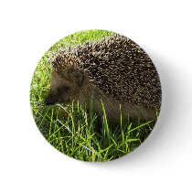Hedgehog Button