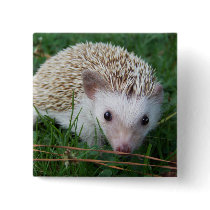 Hedgehog Pin