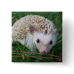 Hedgehog Pin