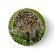 Hedgehog Button Badge