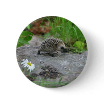 Hedgehog button - customizable