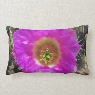 Hedgehog Cactus Flower Pillows