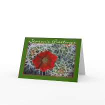Hedgehog Cactus Holiday Card by ottergraph Hedgehog Cactus Holiday Card