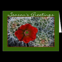 Hedgehog Cactus Holiday Card cards