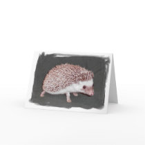 Hedgehog Card
