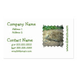 Hedgehog Care Business Cards