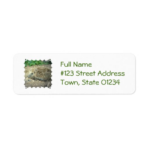 Hedgehog Care Mailing Label