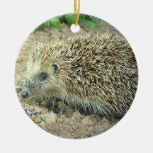 Hedgehog Care Ornament