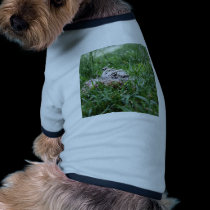 Hedgehog pet clothing