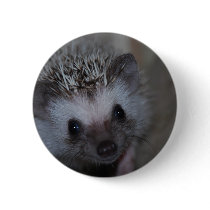 Hedgehog Face Pinback Buttons
