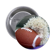 Hedgehog Football Button