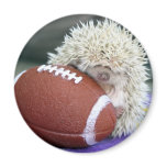 Hedgehog Football Refrigerator Magnets
