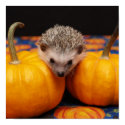 Hedgehog Halloween Greetings posters