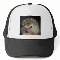 Hedgehog Hat by kaustin3399 Hedgehog Hat