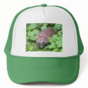 Hedgehog Hat by Jeeee11 Hedgehog Hat